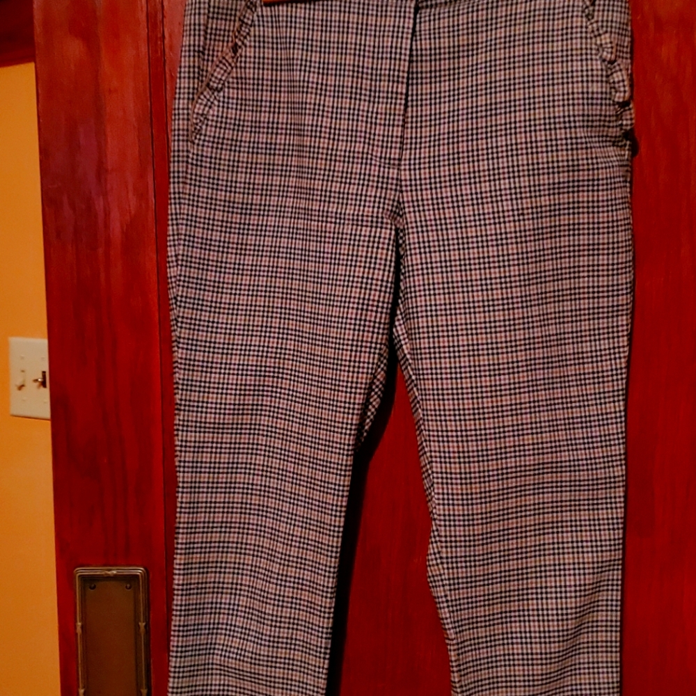 Zara capri pants